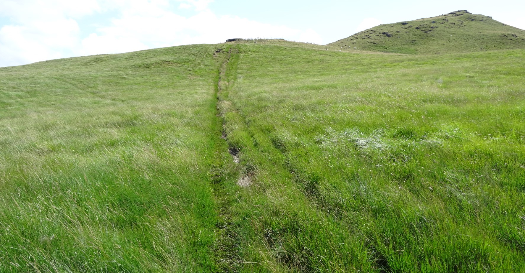 RachelSeabrook.net | Wild Walking | Disgwylfa-Fawr | pic11A